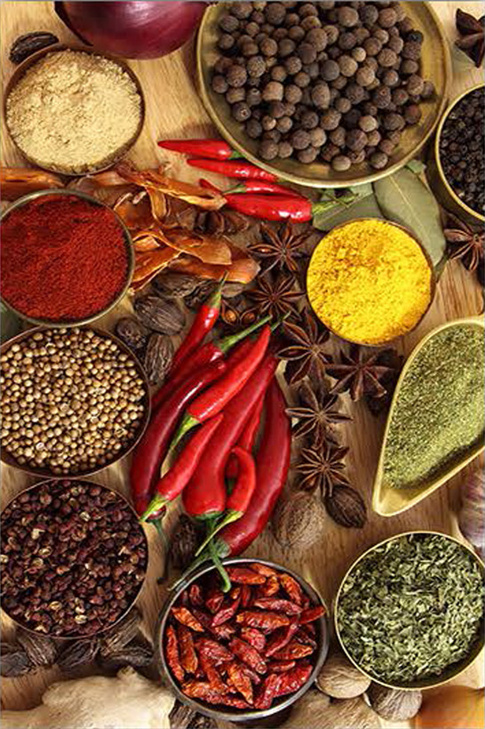 فرش چاپی ادویههای رنگارنگ - فرشینه و فرش آشپزخانه کد K129